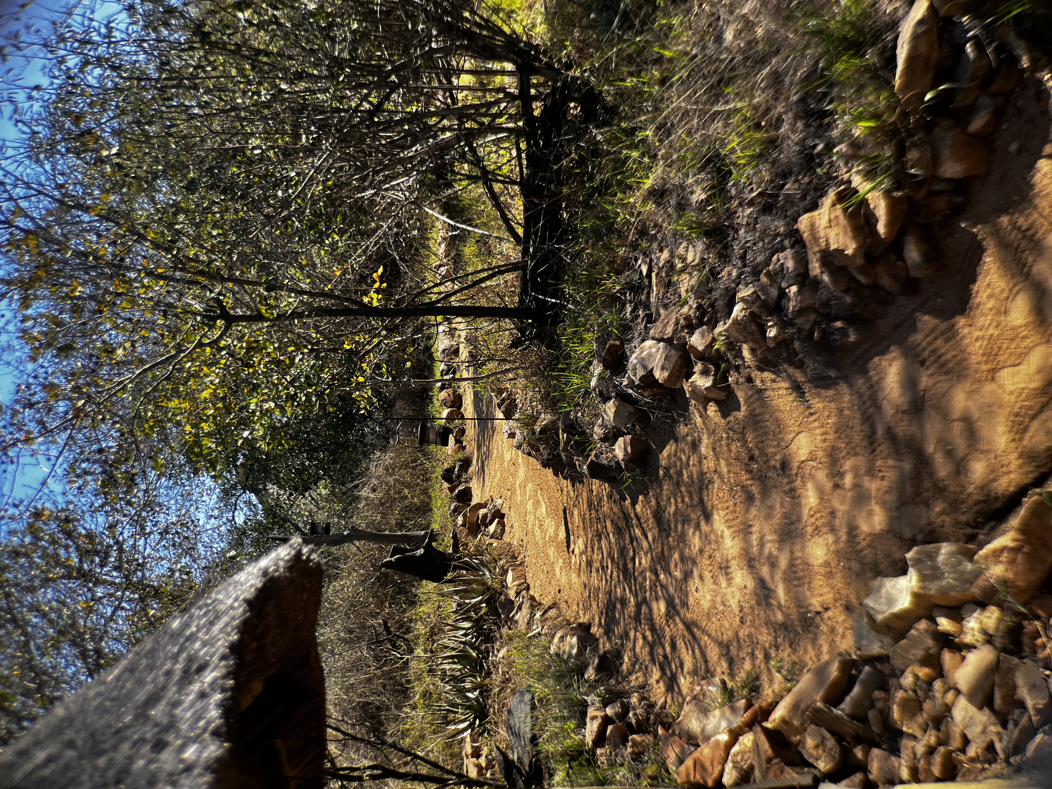 Walking around Umlani Bushcamp during the day: this is what it looks like. 
