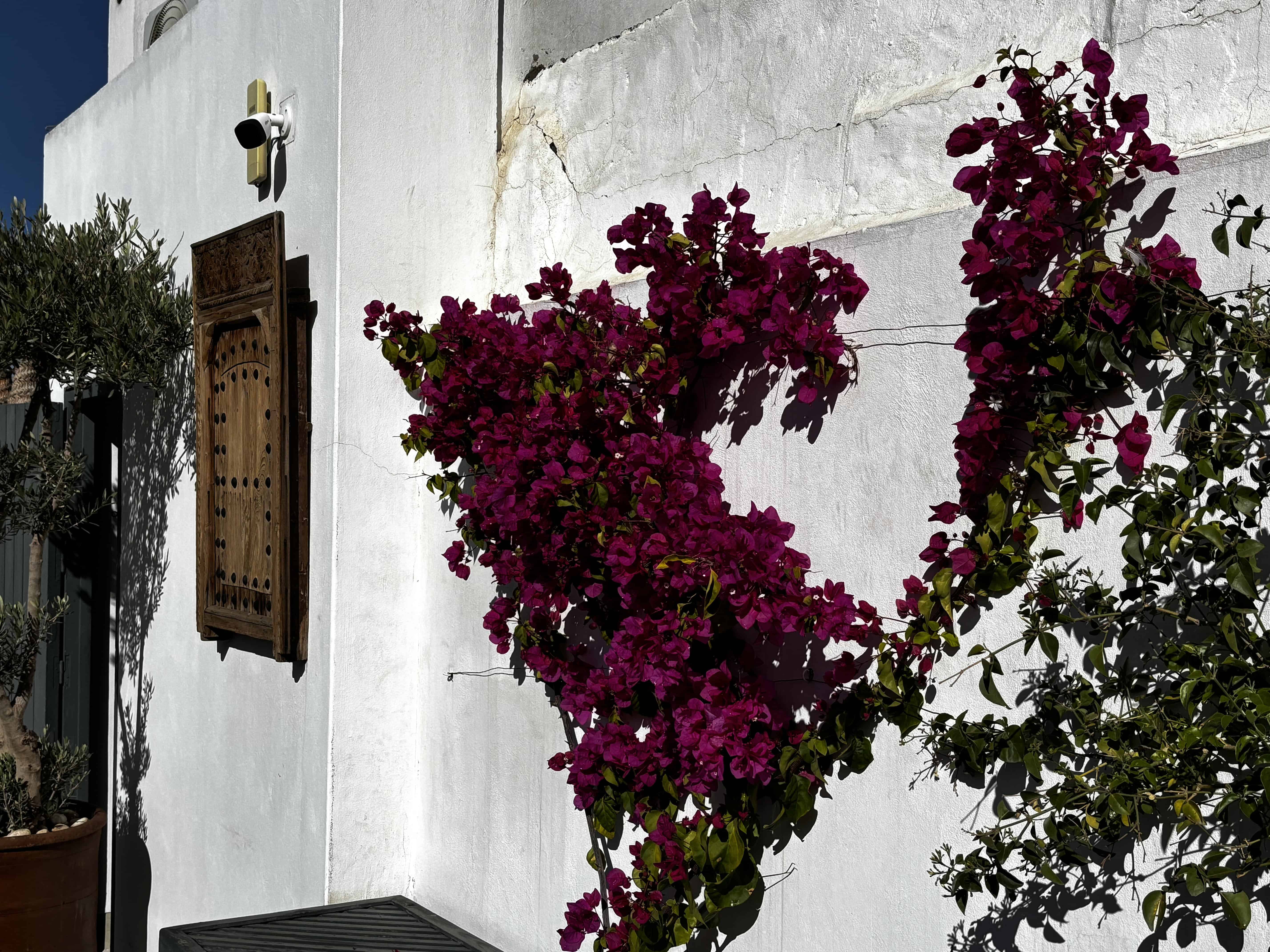 Staying in a Riad in Marrakech