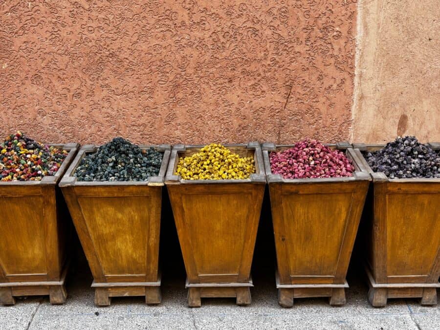 Spices against a terracotta wall 