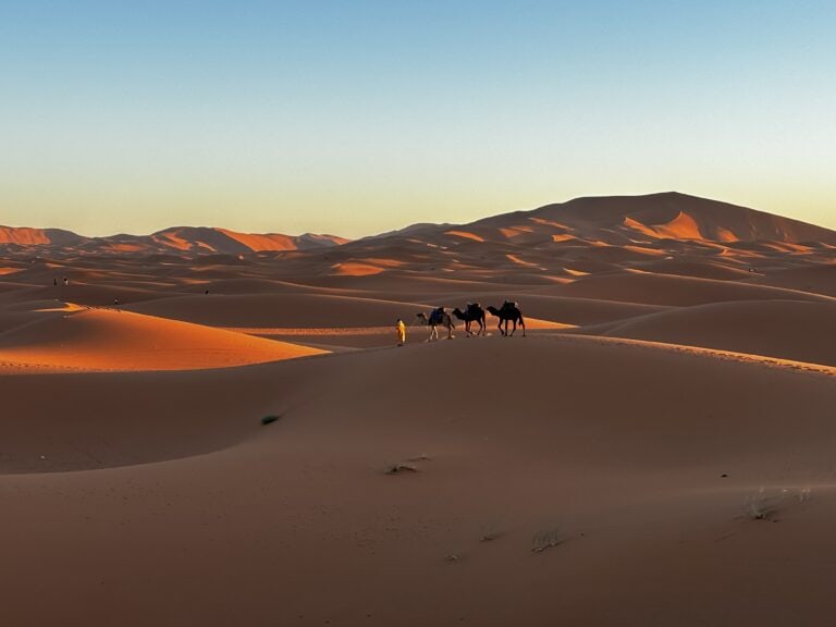 Photo of the week: Sahara Sunrise