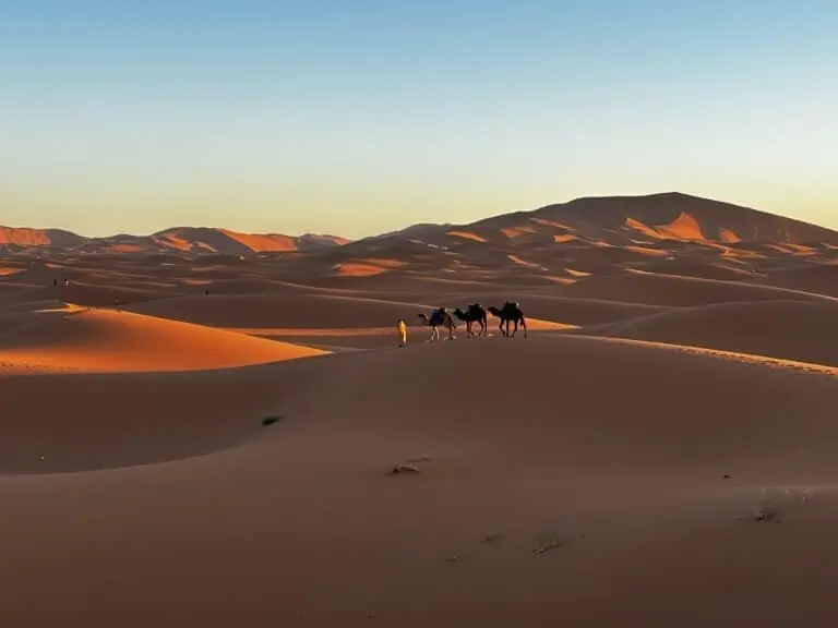 Golden dunes at sunrise in Erg Chebbi desert, Morocco, with man leading two camels across the dunes in the distance.