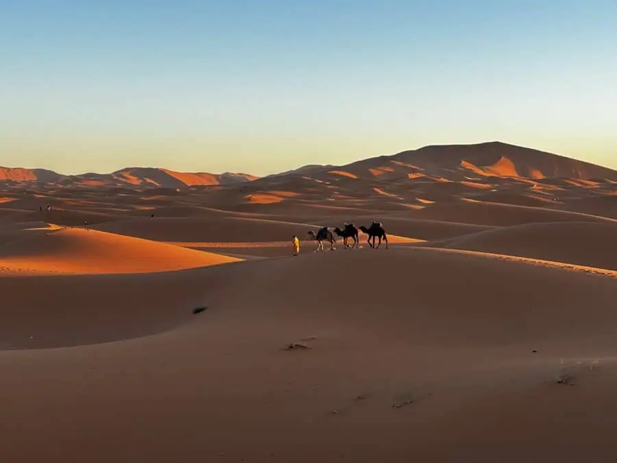 Golden dunes at sunrise in Erg Chebbi desert, Morocco, with man leading two camels across the dunes in the distance.
