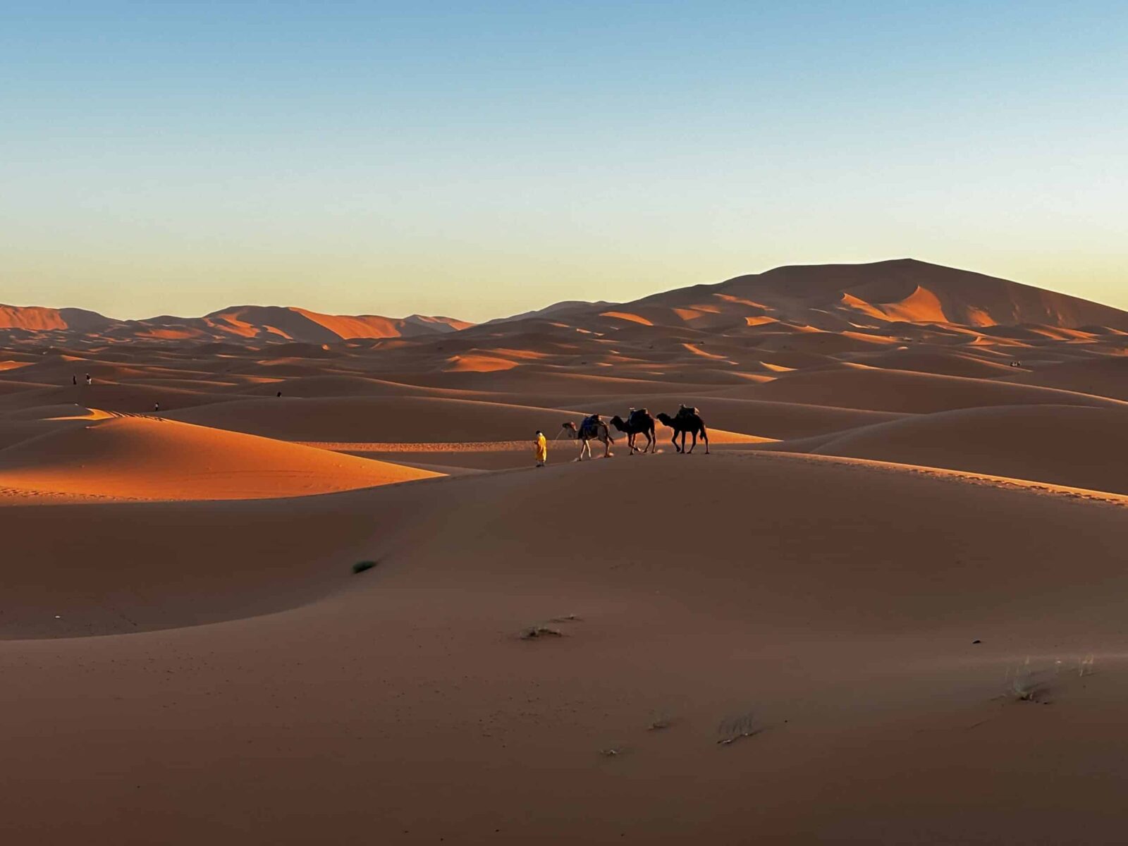 Photo of the week: Sahara Sunrise