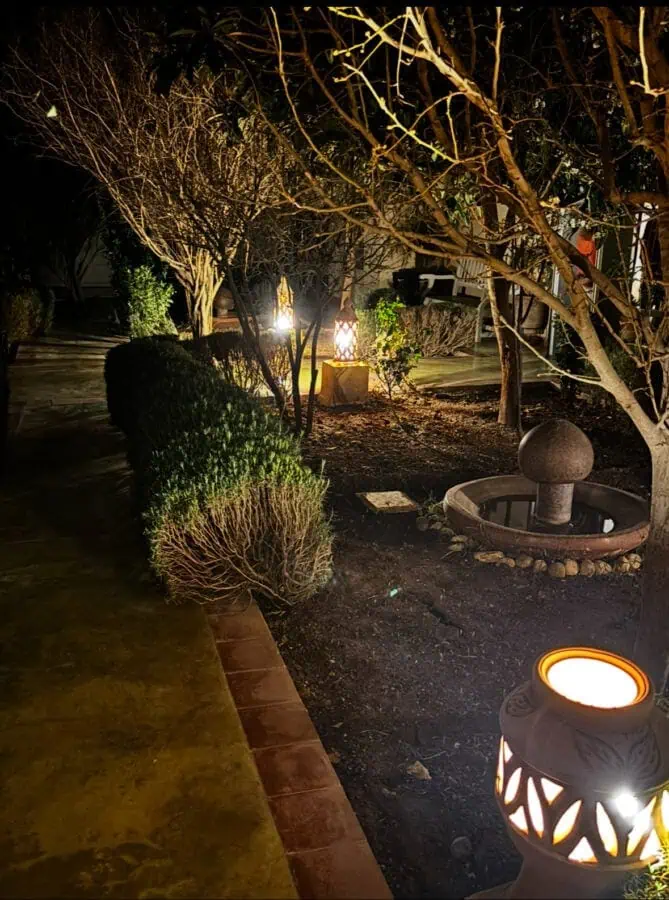 Beautiful illuminated garden scene featuring lanterns and natural plants at night.