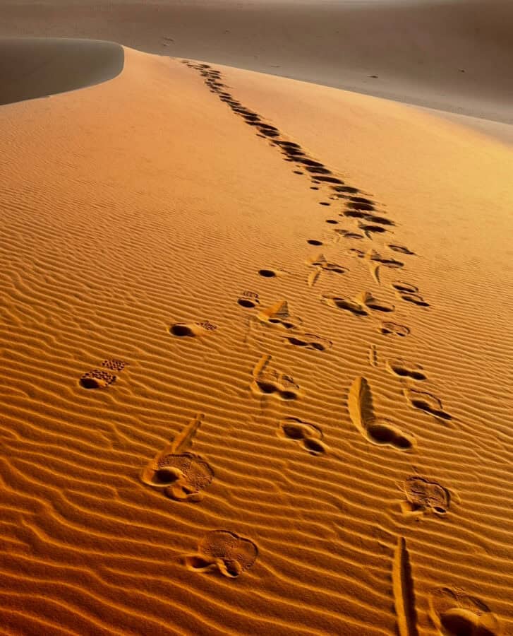 Vast desert landscape with footprints tracing a journey across golden sand dunes.