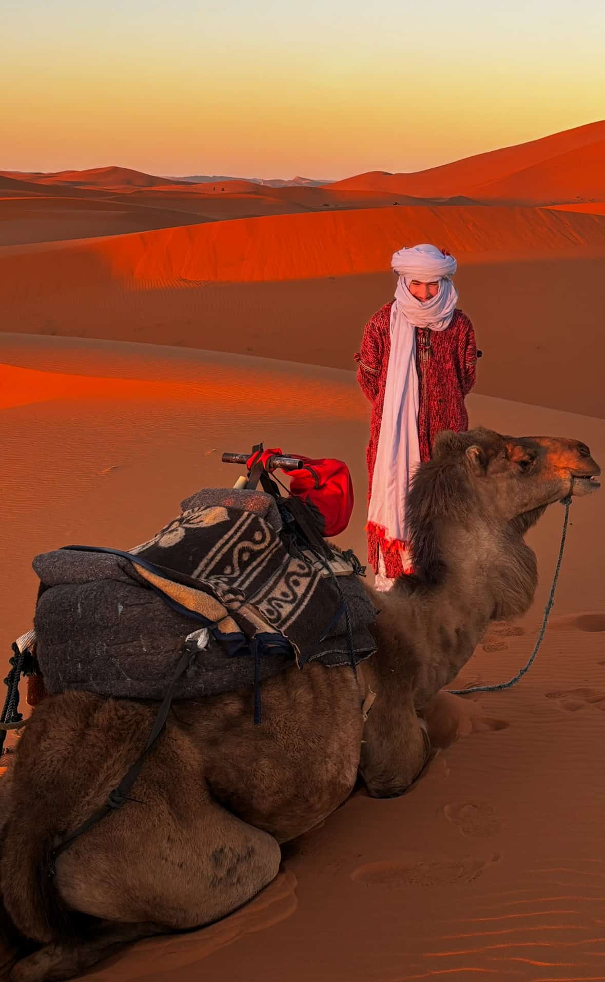 Camel and his owner in the Sahara at sunset