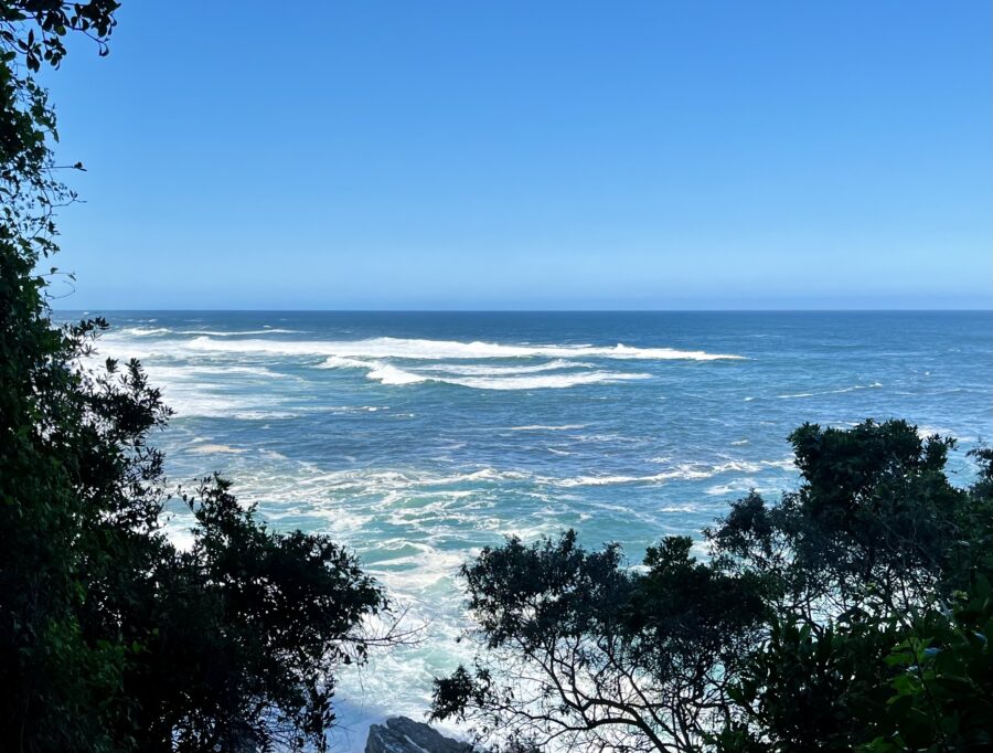 Ocean view from the boardwalk leading to the Tsitsikamma Suspension Bridges. One of our best hikes on the Garden Route