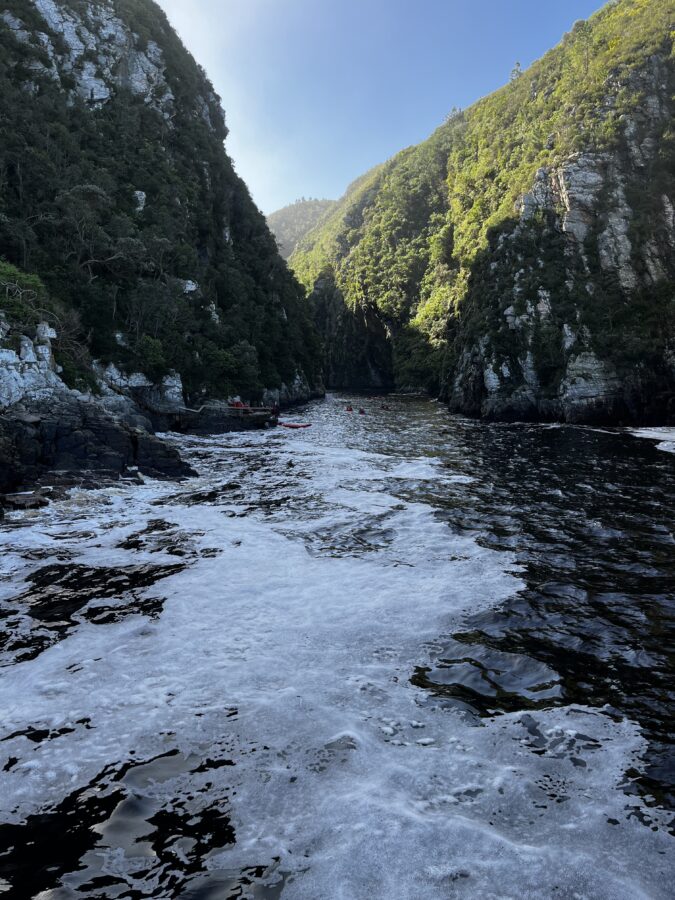 Storms River seen from the suspension bridge in Tsitsikamma NP