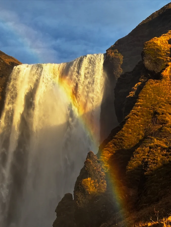 Skógafoss waterfall in iceland, seen at sunrise, with a rainbow in its spray.