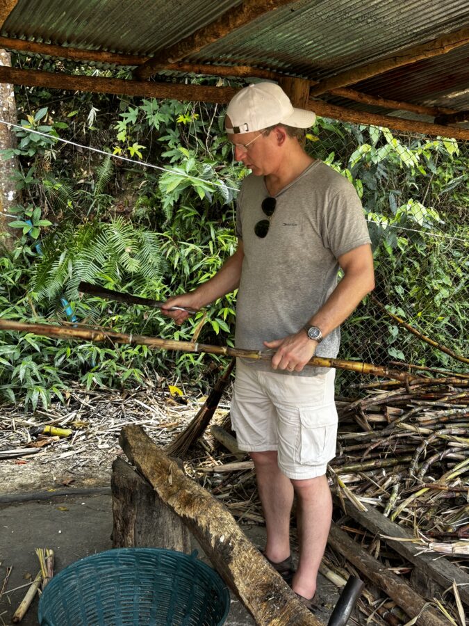 Chopping up sugarcanes in an ethical elephant sanctuary in Thailand