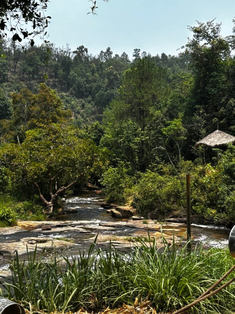 Three Chiang Mai tours I loved for very different reasons