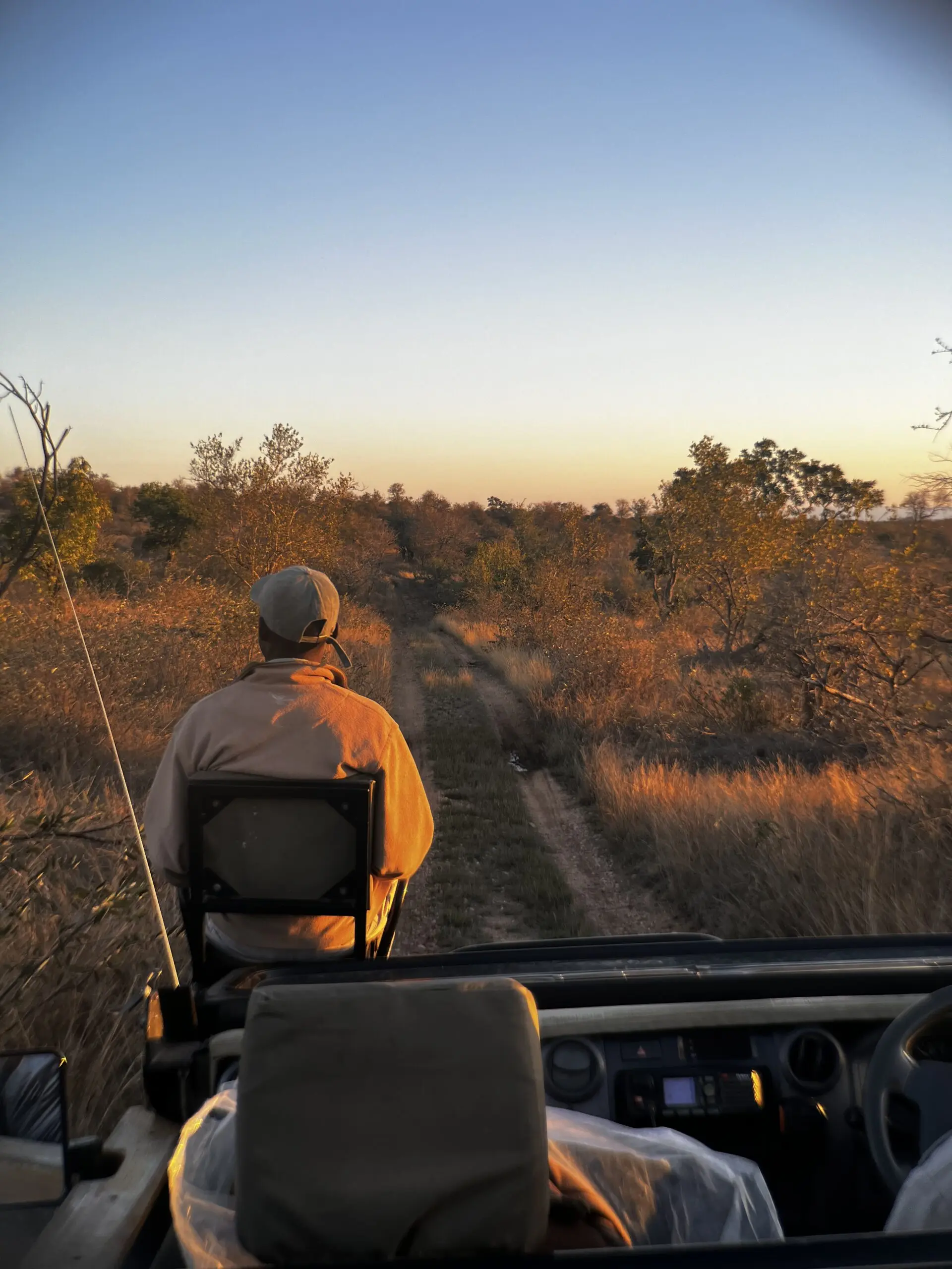 Spotter in safari vehicle, seen from the back, at sunrise
