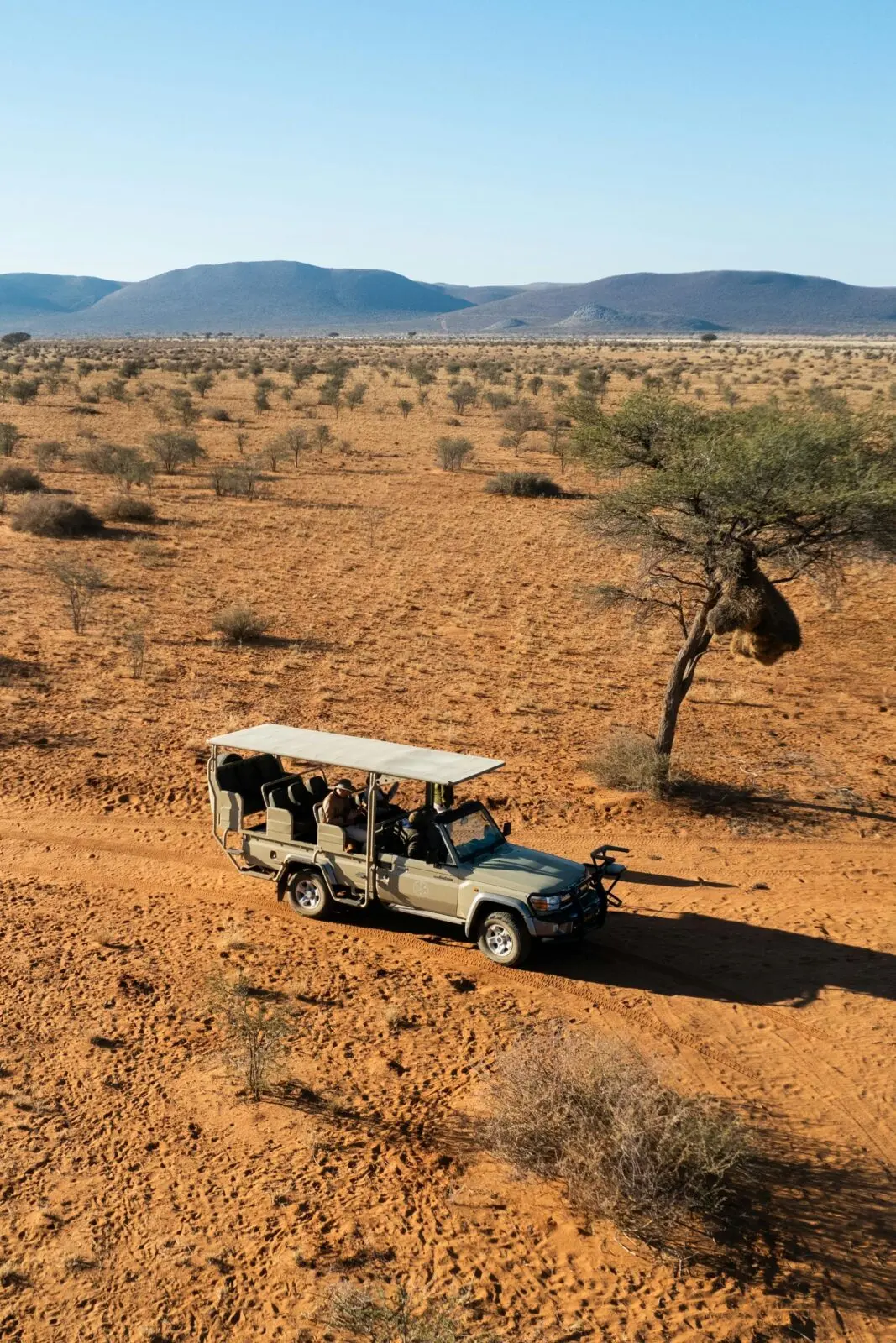 A safari jeep travels through a picturesque desert, capturing adventure and wildlife.
