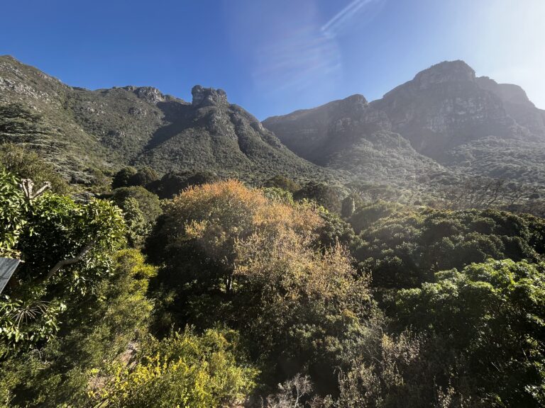 Where to stay in Cape Town, Johannesburg and Durban: safer areas and hotel picks