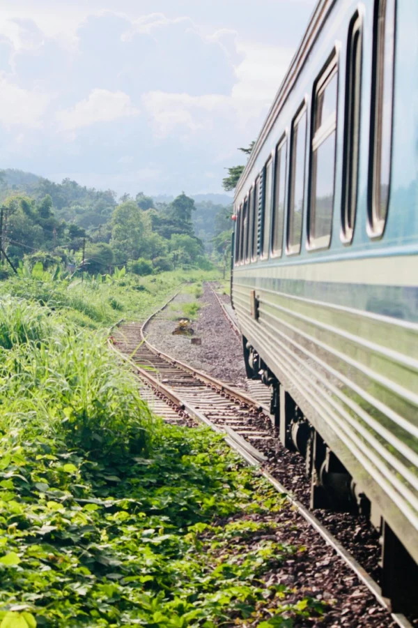 Experience the lush greenery and serene beauty of a train journey through Thailand's countryside.