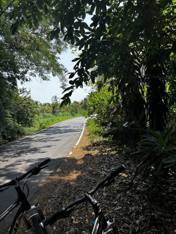 Two bikes standing on a small deserted road between green fields and trees. Near Chian Mai, Thailand 