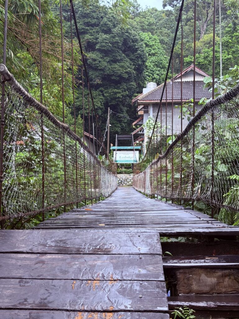The Overthinker’s Scorecard: crossing the suspension bridges of Bukit Lawang