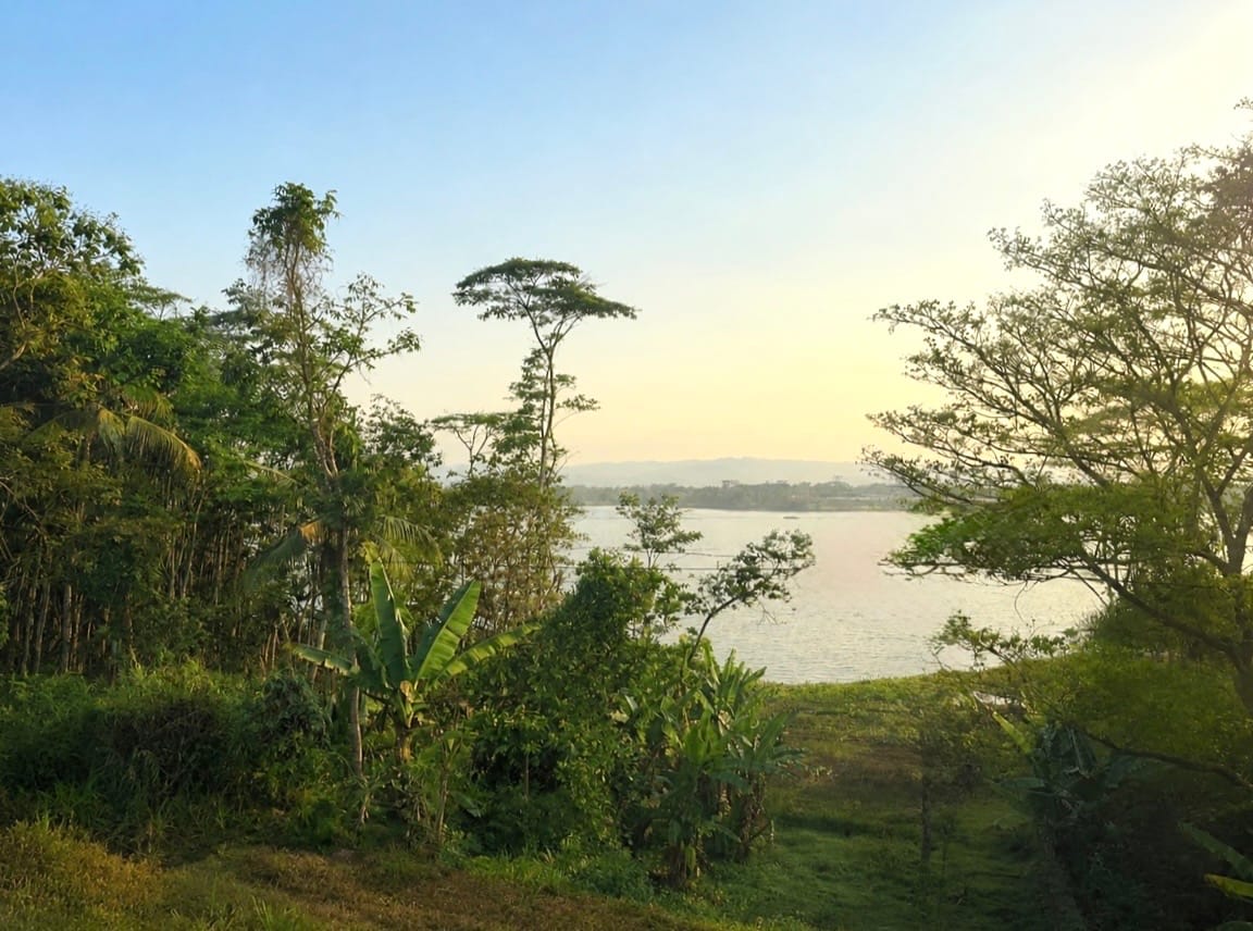 View from the window of the Malioboro Express train in Java, Indonesia