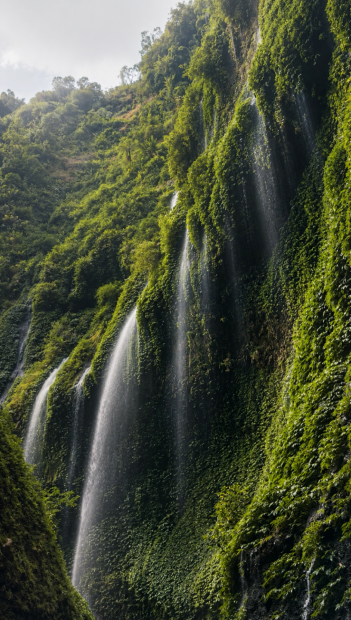Photo by Talesfromtheroadahead. Madakaripura Waterfall tumbling down green mountainside.