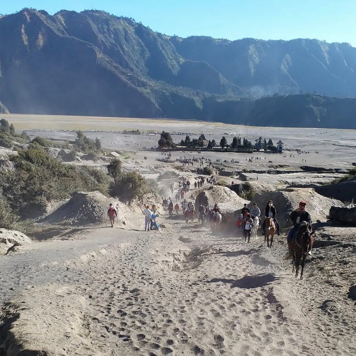 Horses coming up the sandy incline of Bromo volcano